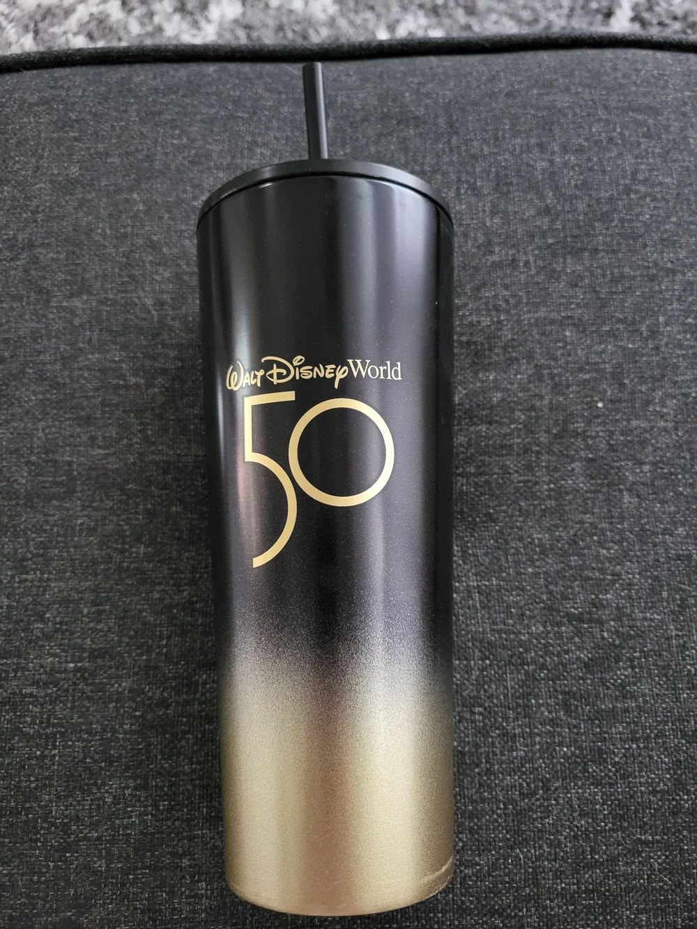 Disney sleek travel